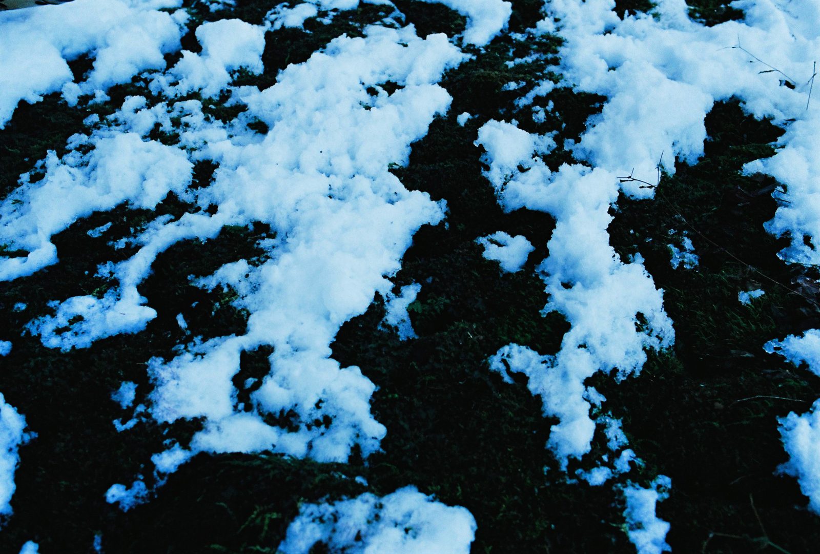 雪と灯 13/13
