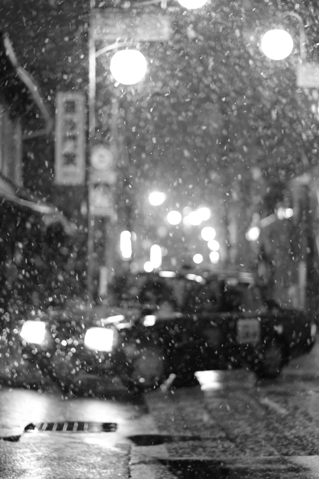 夜の雪 1/11