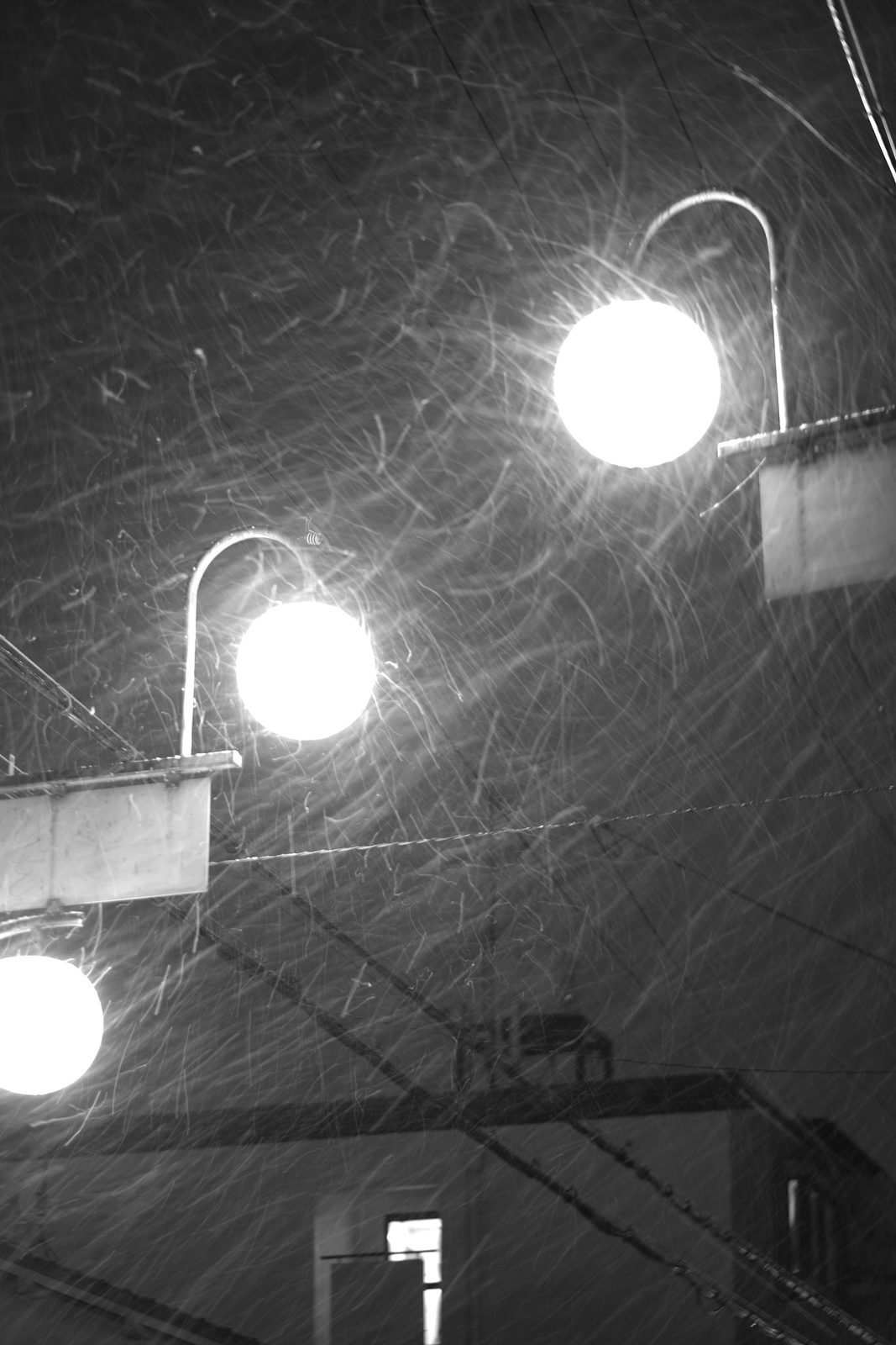 夜の雪 5/11