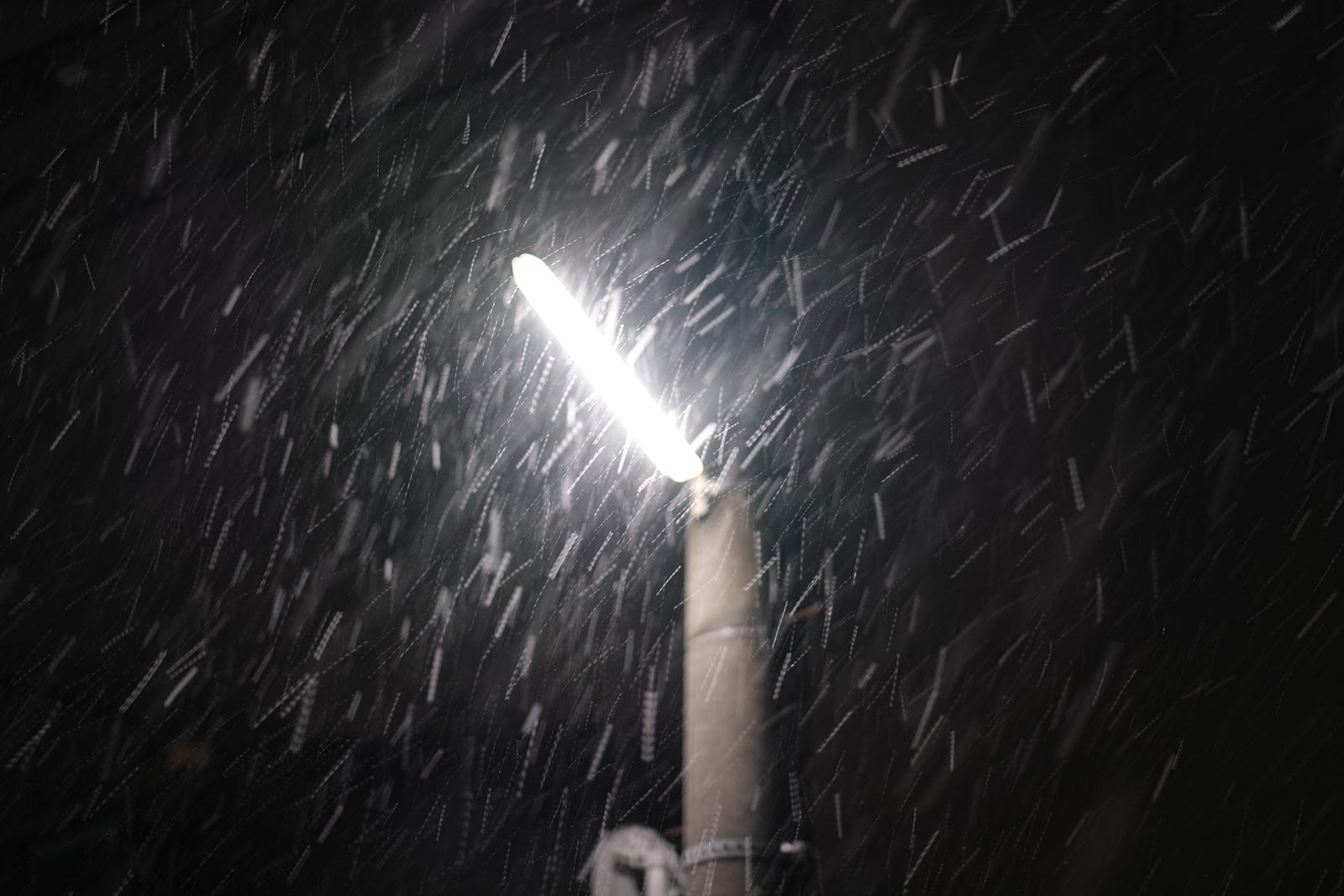 夜の雪 8/11