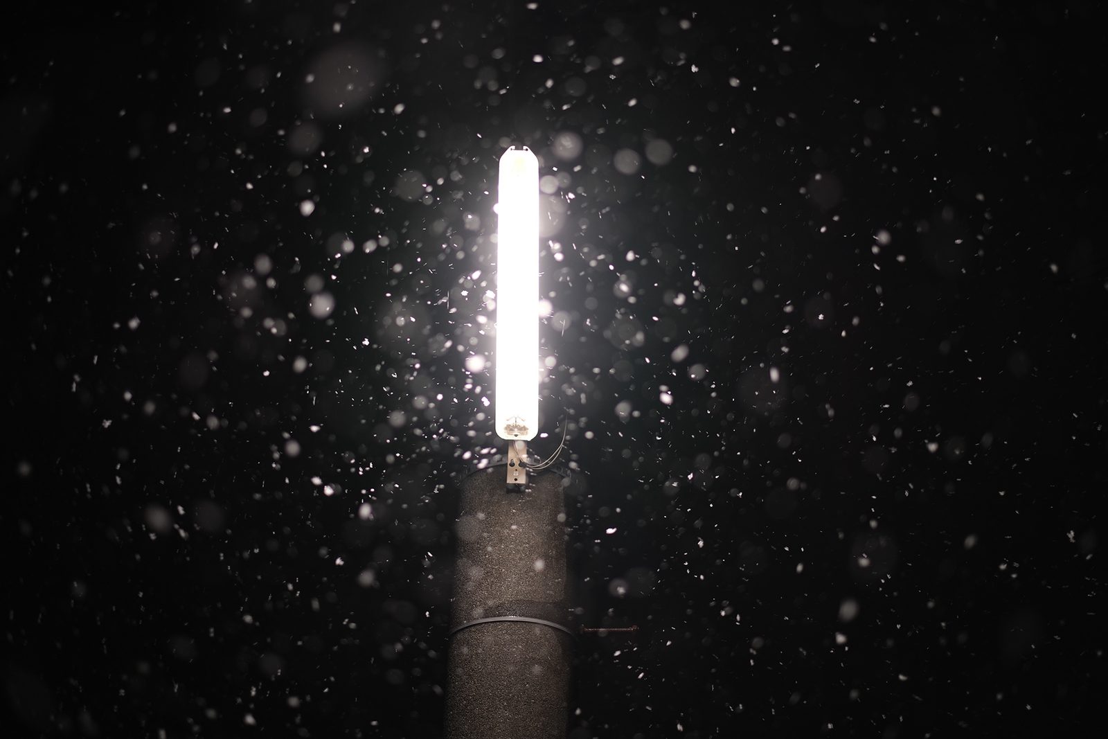 夜の雪 9/11