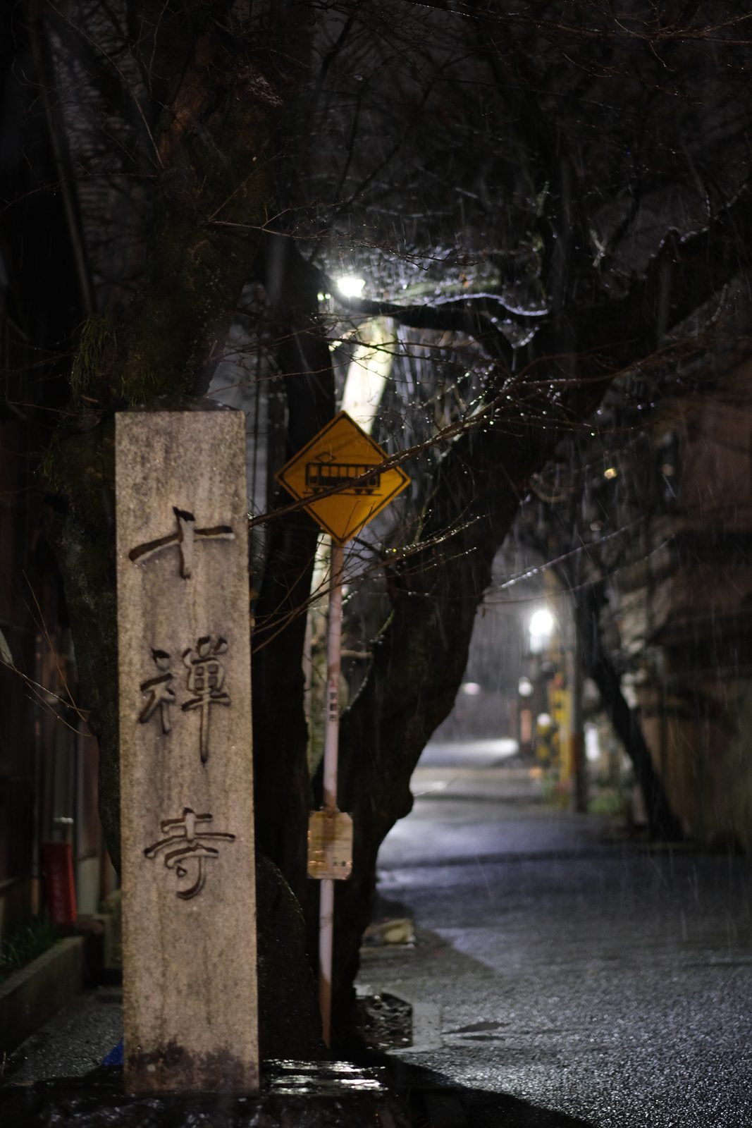夜の雪 10/11