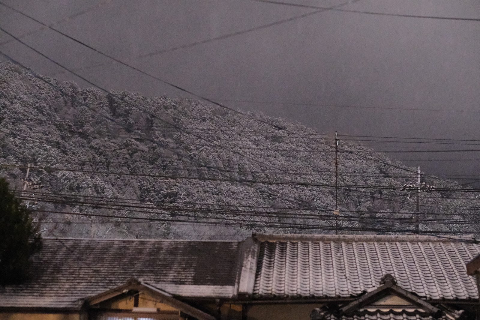 夜の雪 11/11